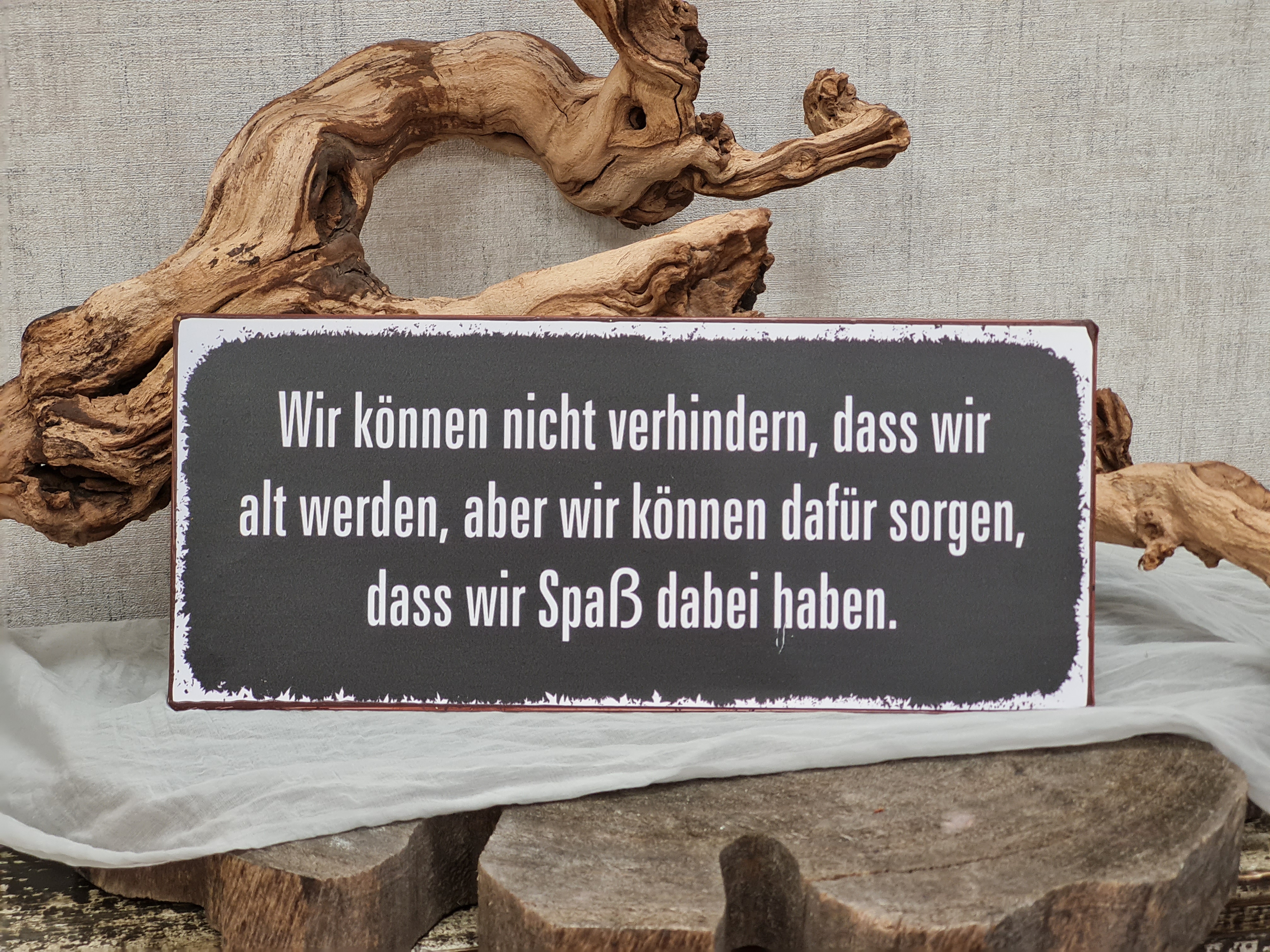 Metallschild – Deko Blechschild – Lustige Schilder "Wir können nicht verhindern, dass wir alt werden, aber wir können dafür sorgen, dass wir Spaß dabei haben"